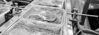 agroalimentaire-350px