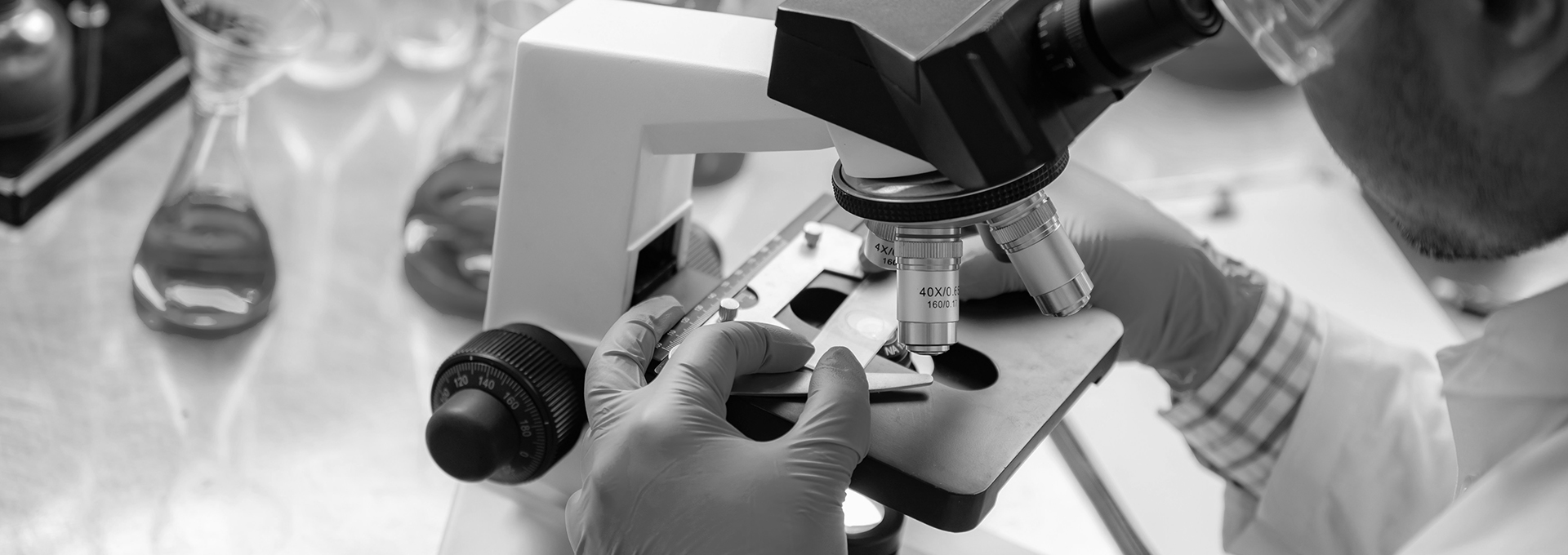 Recherche et développement — microscopie en laboratoire